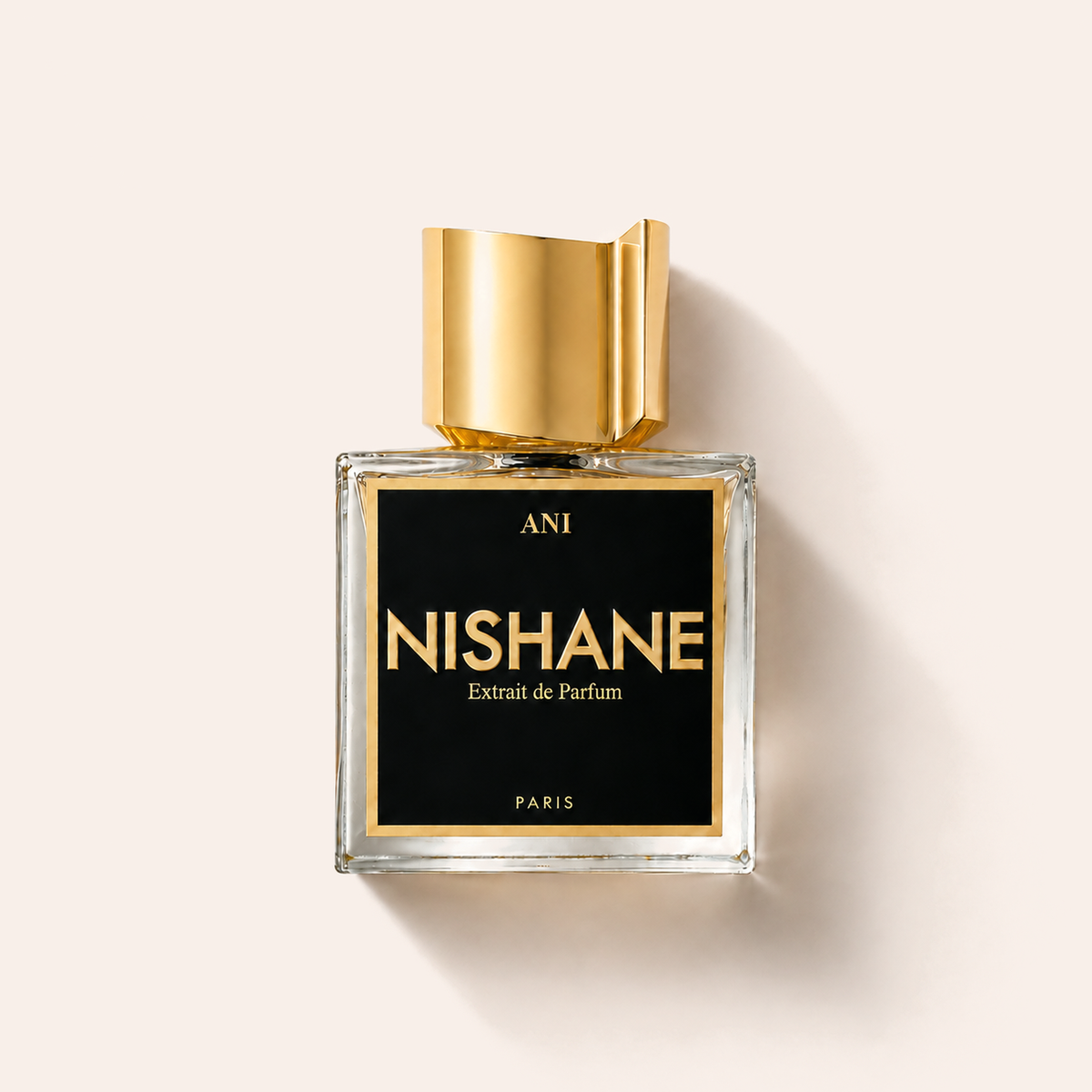 Nishane Ani Extrait 100 ml – MrRizz