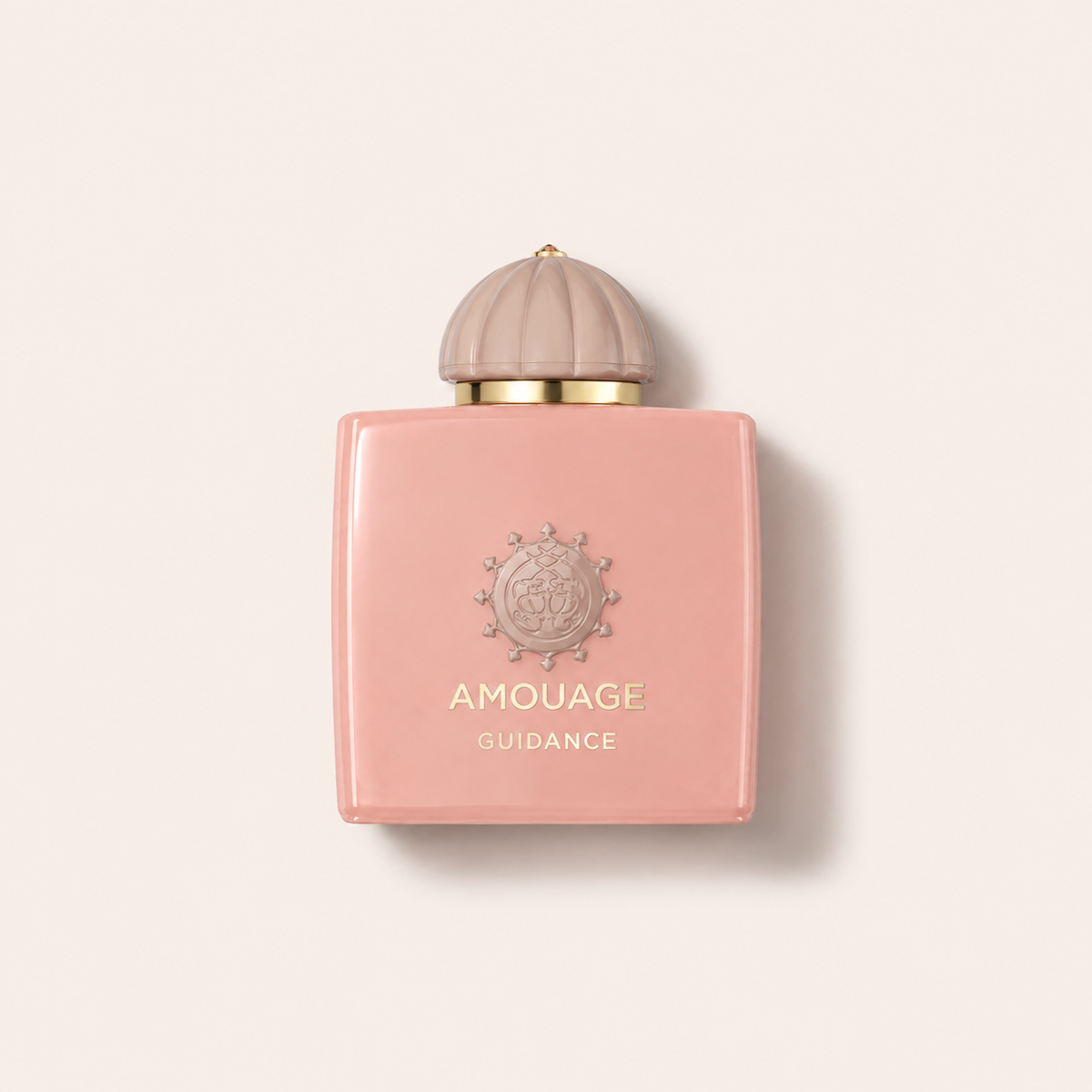 Amouage Guidance