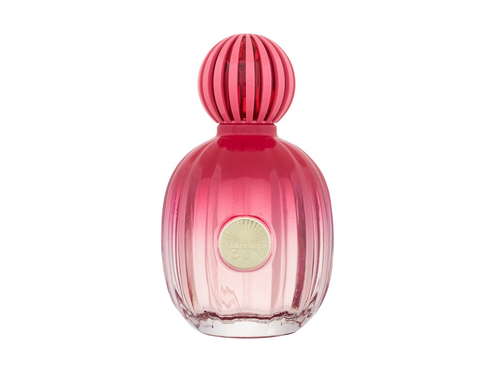 Banderas The Icon 100 ml – MrRizz