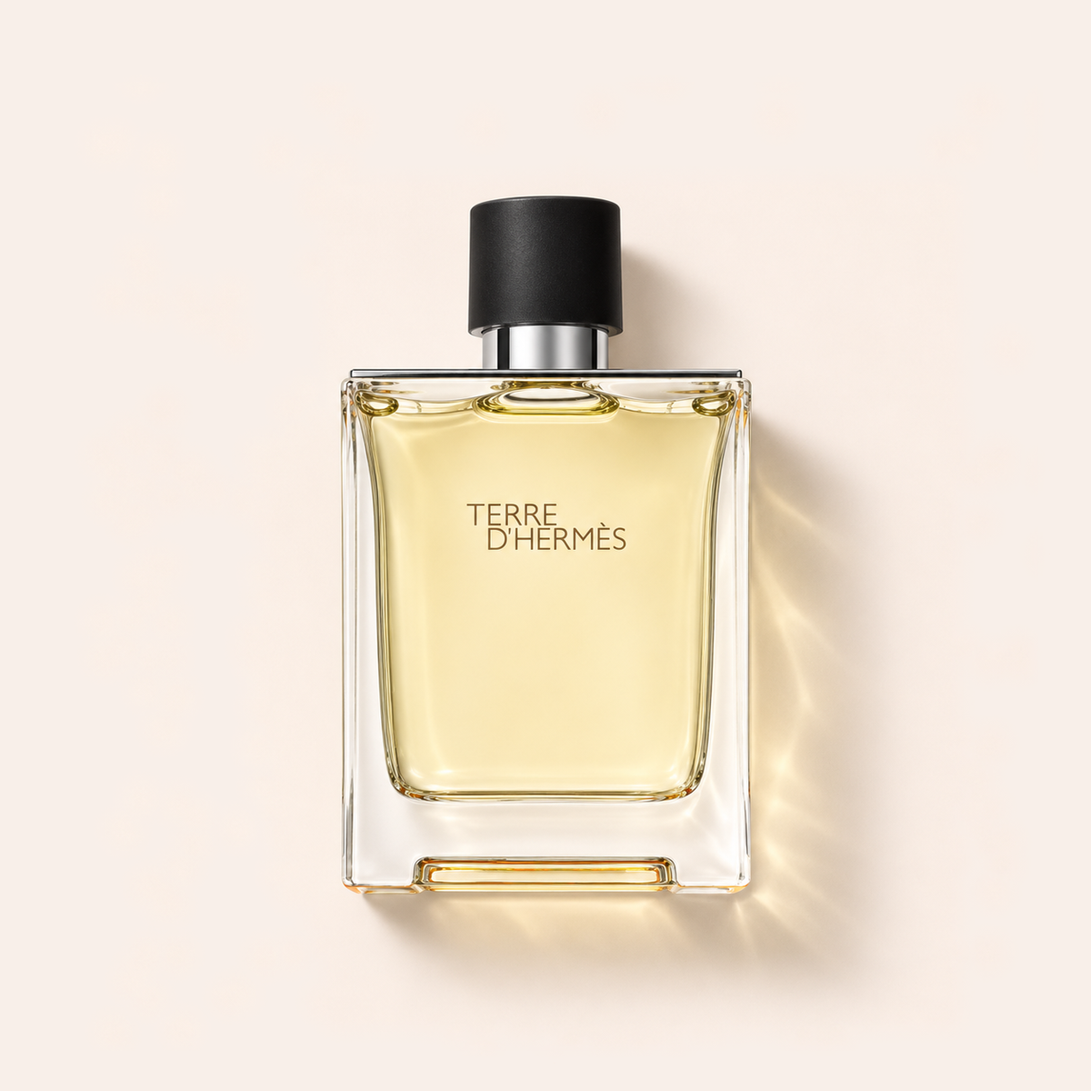 Hermes Terre d'Hermes, toaletní voda 100 ml – MrRizz