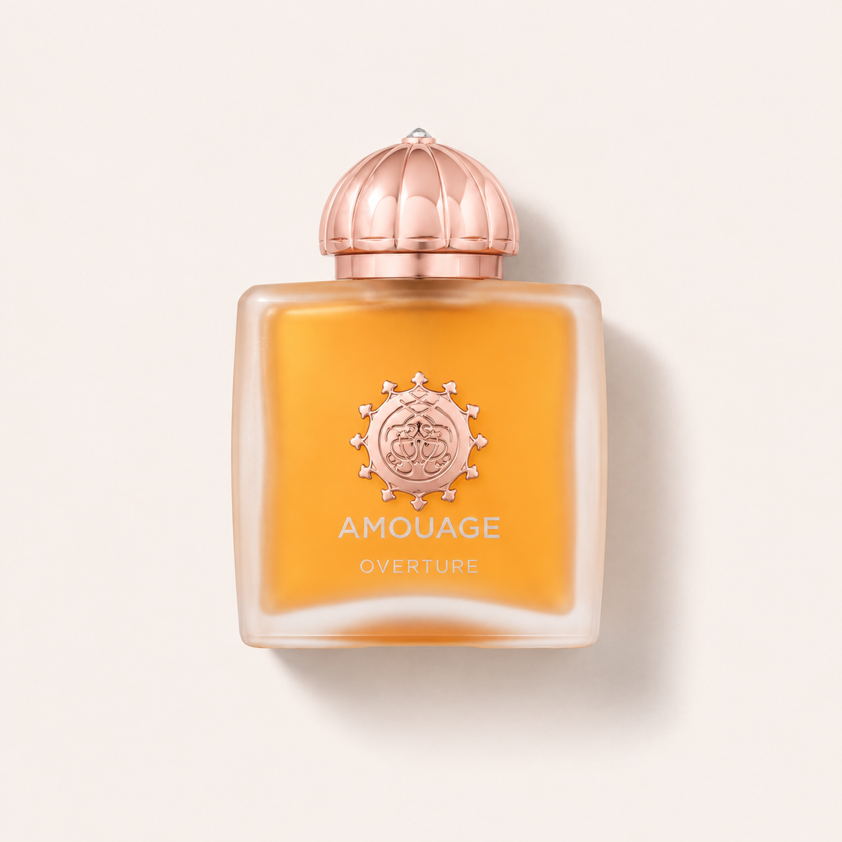 Amouage Overture 100 ml – produktová fotografie