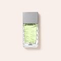 Ajmal Vision 100 ml – MrRizz