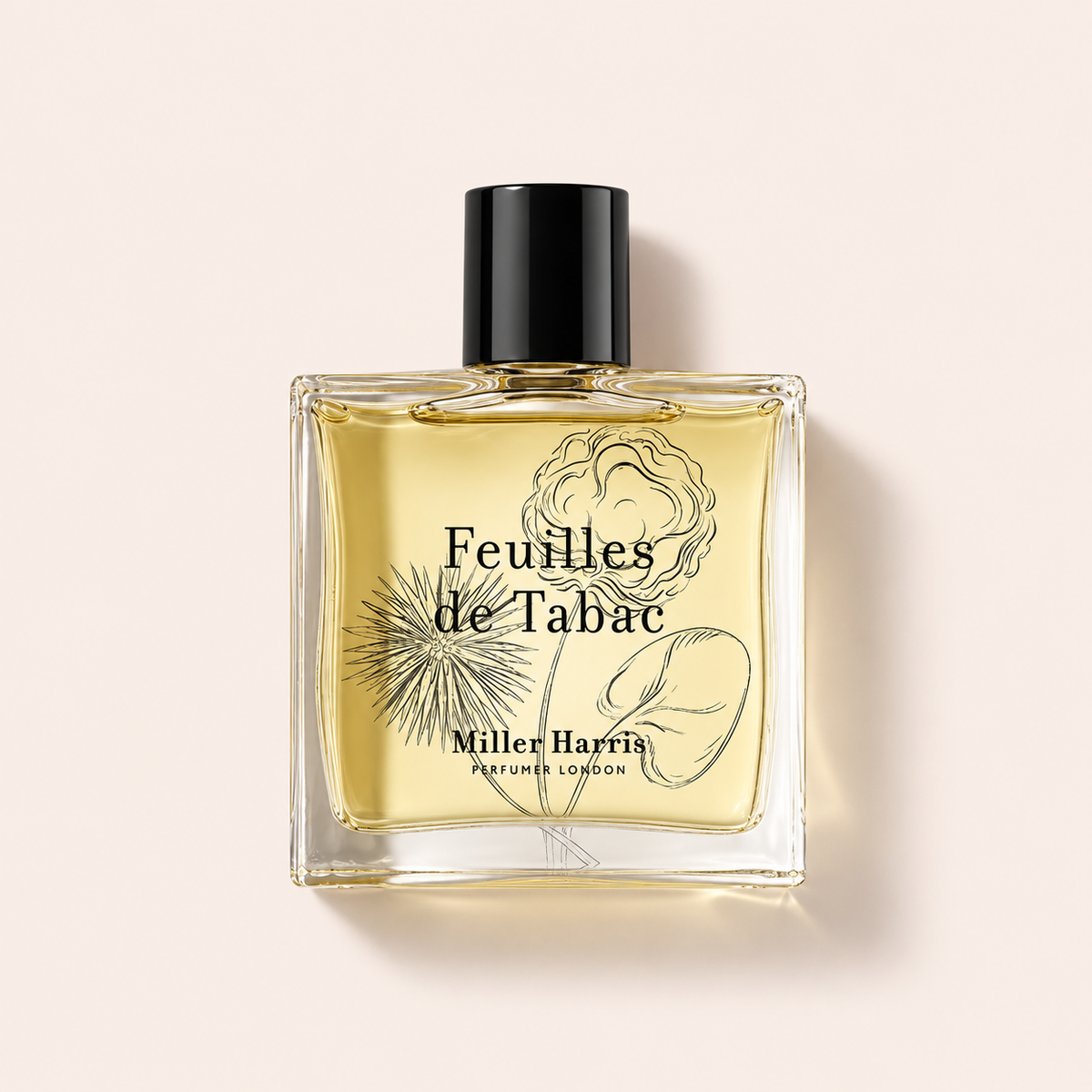 Miller Harris Feuilles de Tabac 100 ml – titulní produktová fotografie – MrRizz