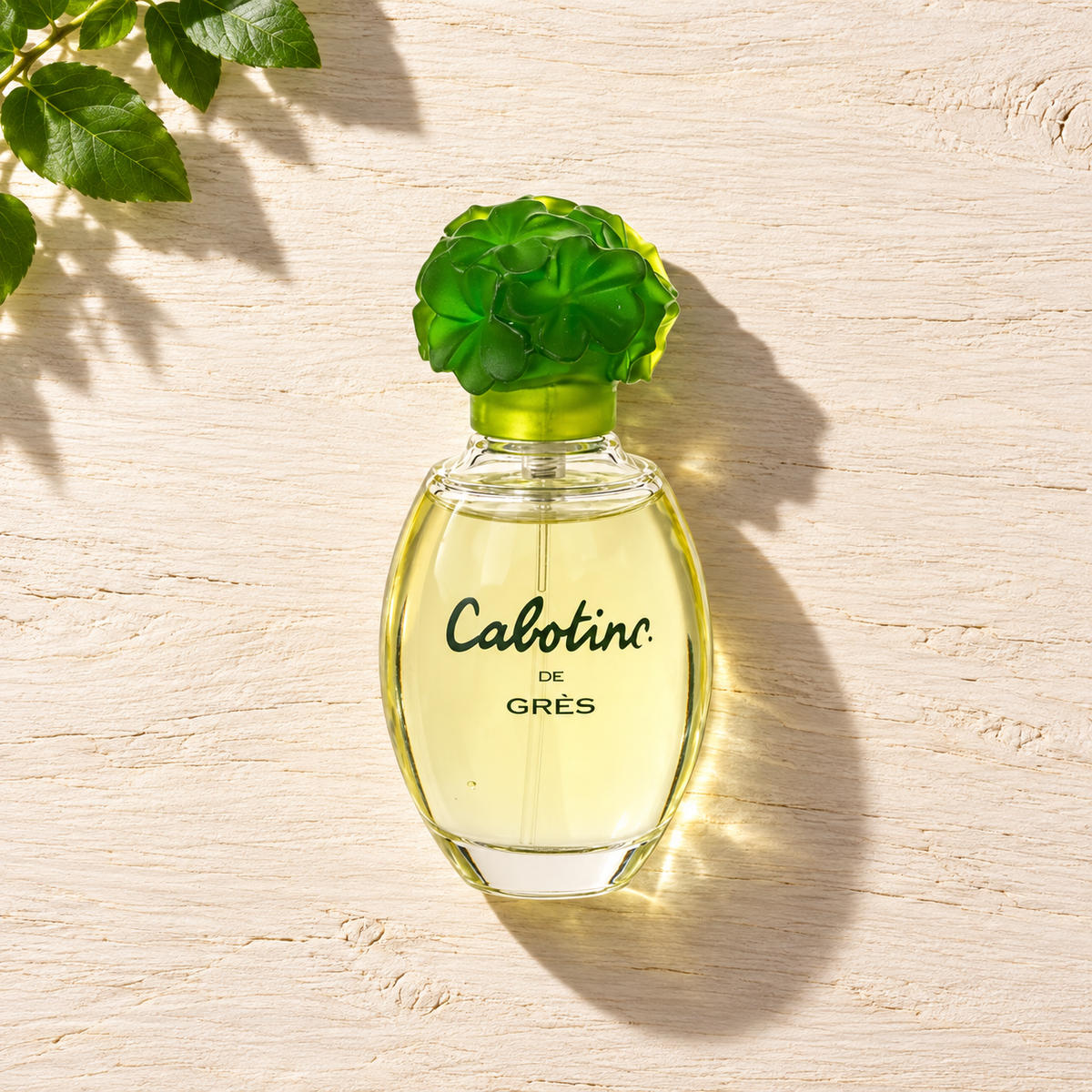 Gres Cabotine de Gres 50 ml – parfém v prostředí, pohled shora s bočním stínem