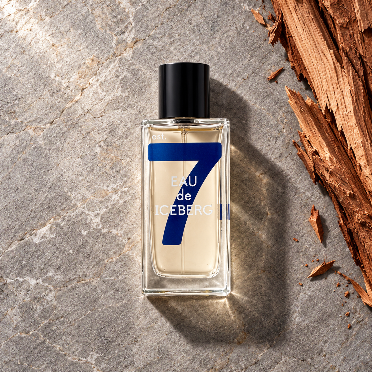 Iceberg Eau de Iceberg Cedar EDT 100 ml – parfém v prostředí, pohled shora s bočním stínem
