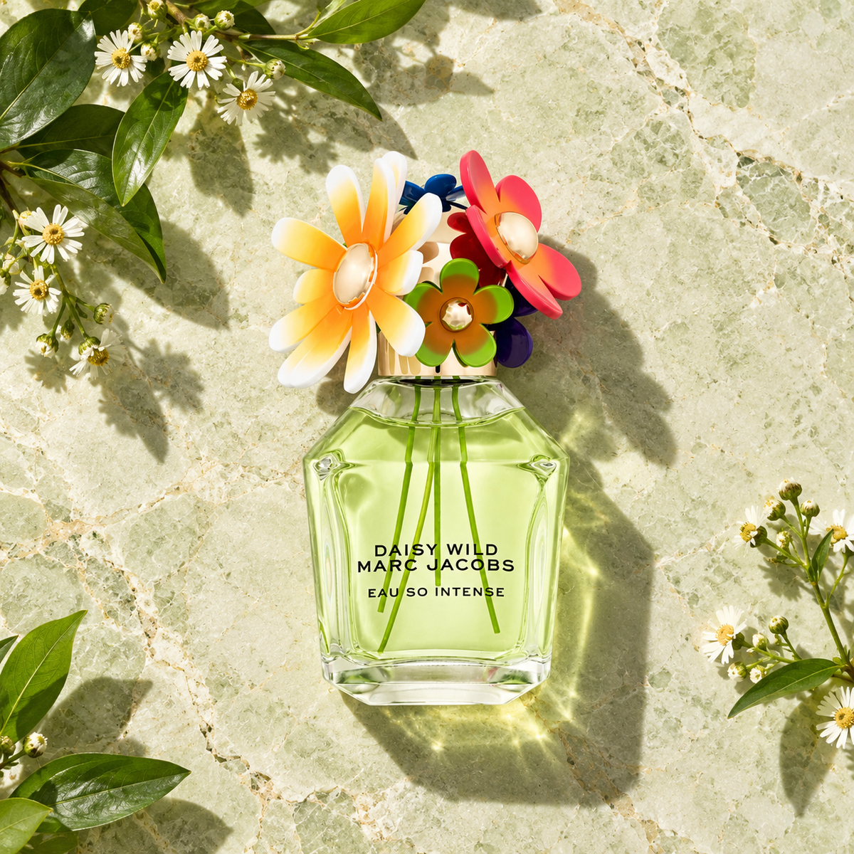Marc Jacobs Daisy Wild Eau So Intense 100 ml – parfém v prostředí, pohled shora s bočním stínem