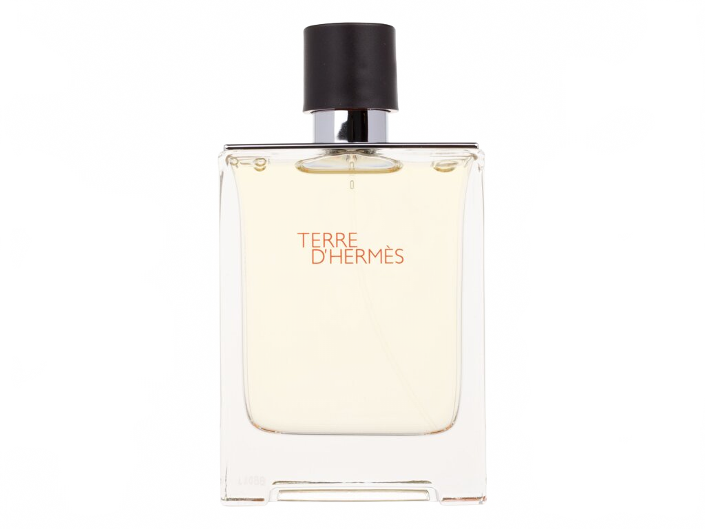 Hermes Terre d’Hermes 100 ml - 100ml - Toaletní voda