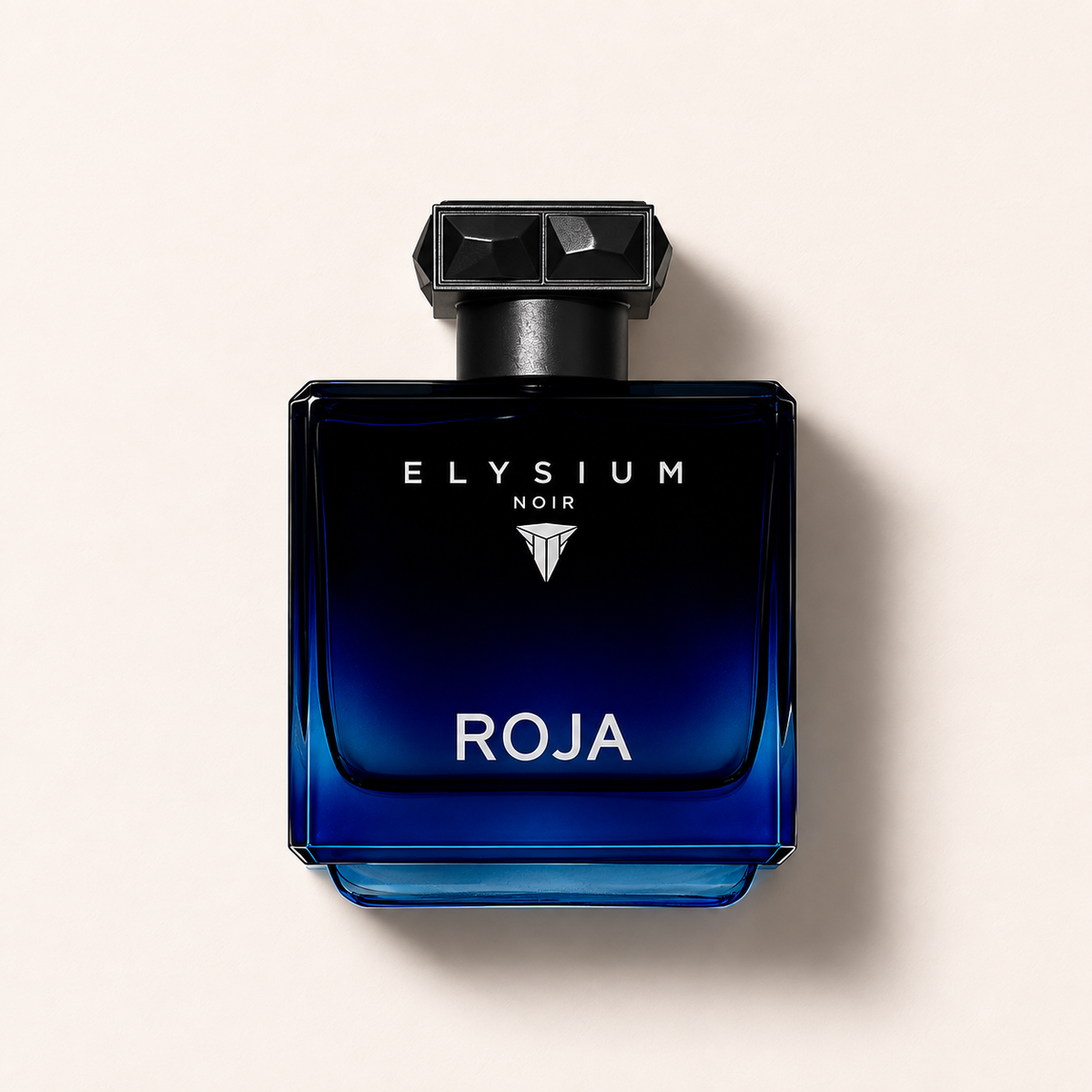 Roja Parfums Elysium Noir 100 ml – MrRizz
