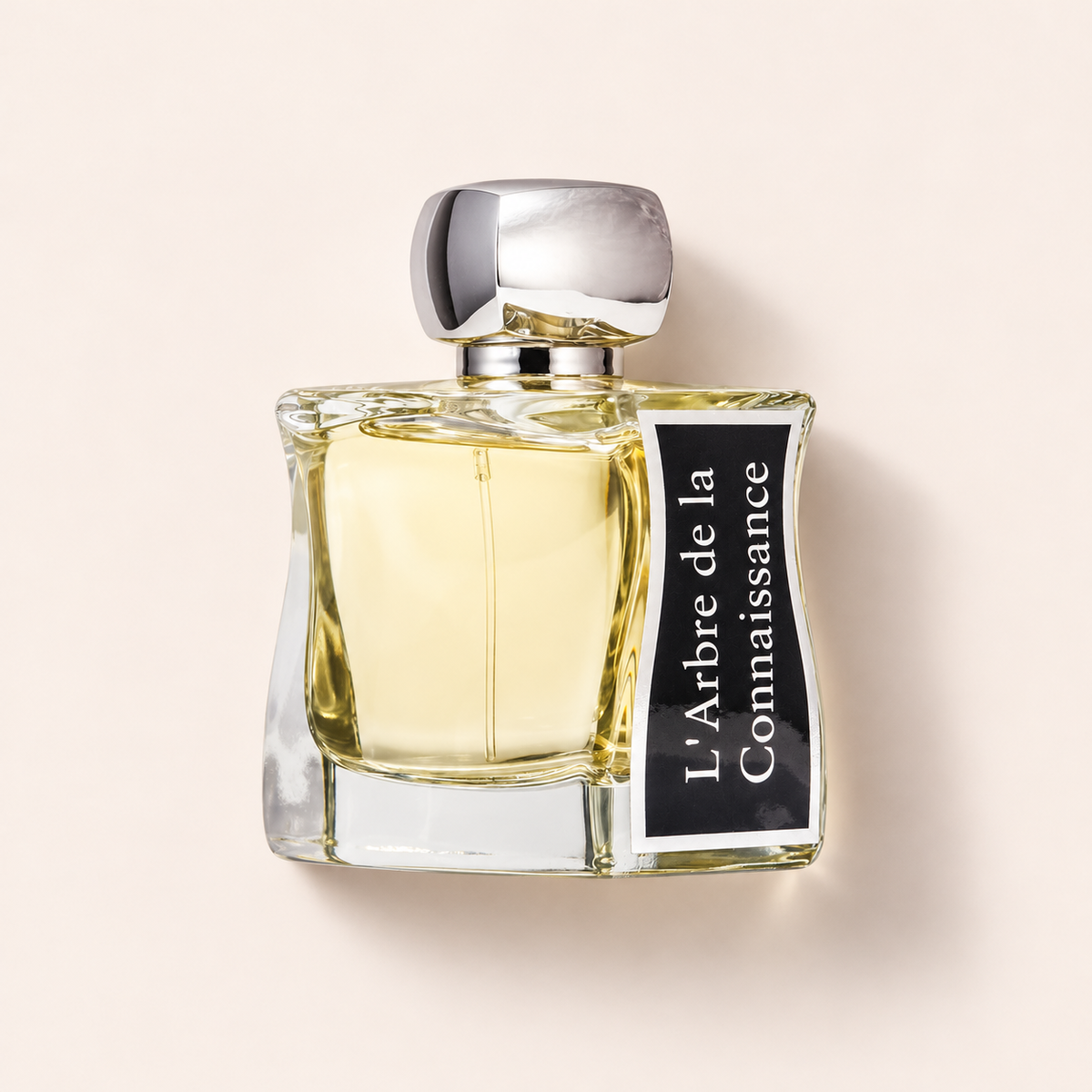 Jovoy Paris L’Arbre de la Connaissance EDP 100 ml – MrRizz