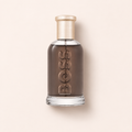 HUGO BOSS Boss Bottled 100 ml – MrRizz