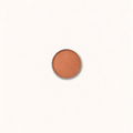 Náplň kompaktního make-upu Shiseido Sun Tanning Compact Foundation SPF10 Bronze 12 g – MrRizz