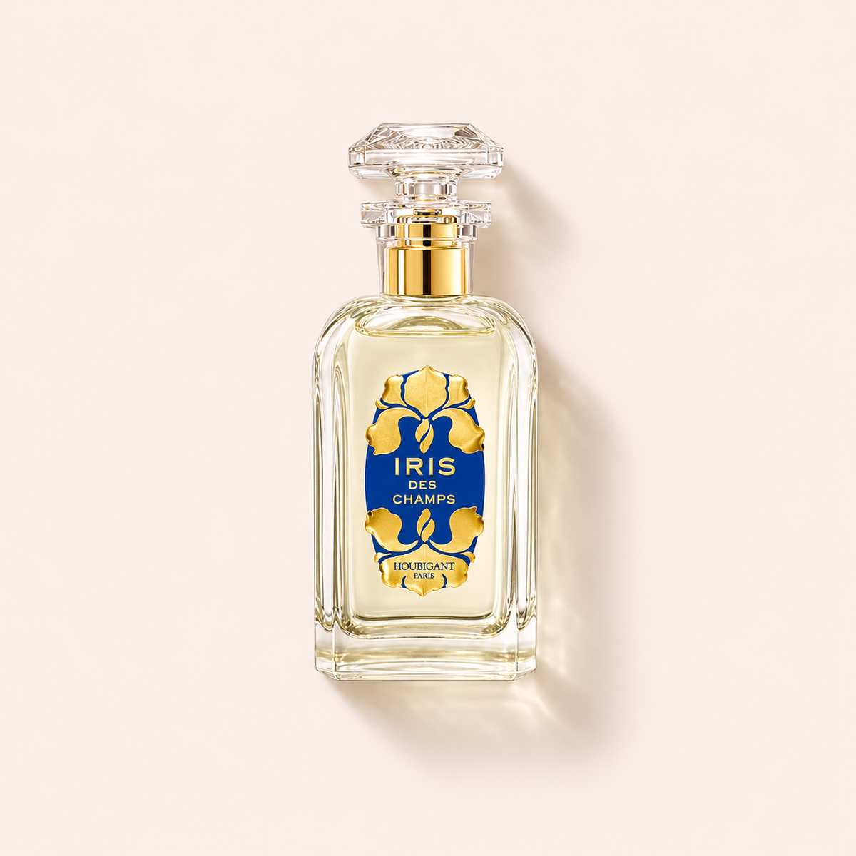 Houbigant Iris des Champs EDP 100 ml – MrRizz