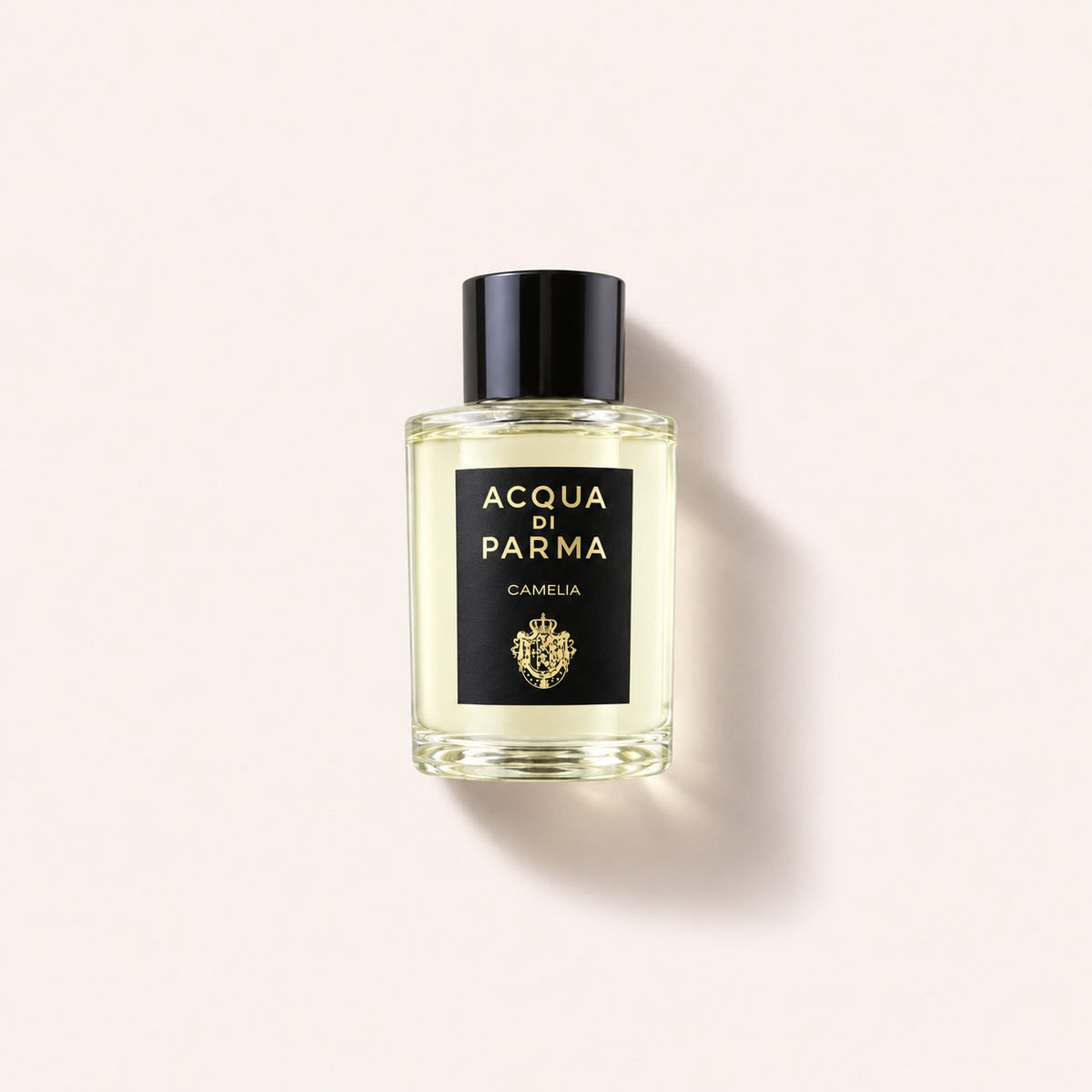 Acqua di Parma Signatures Of The Sun Camelia 100 ml – MrRizz